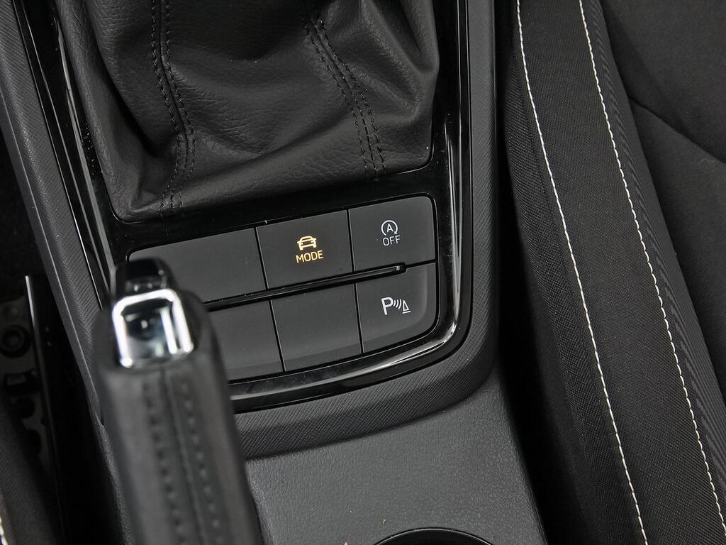 Skoda Kamiq 1.0 TSI 85kW (115CV) DSG MONTE CARLO 28