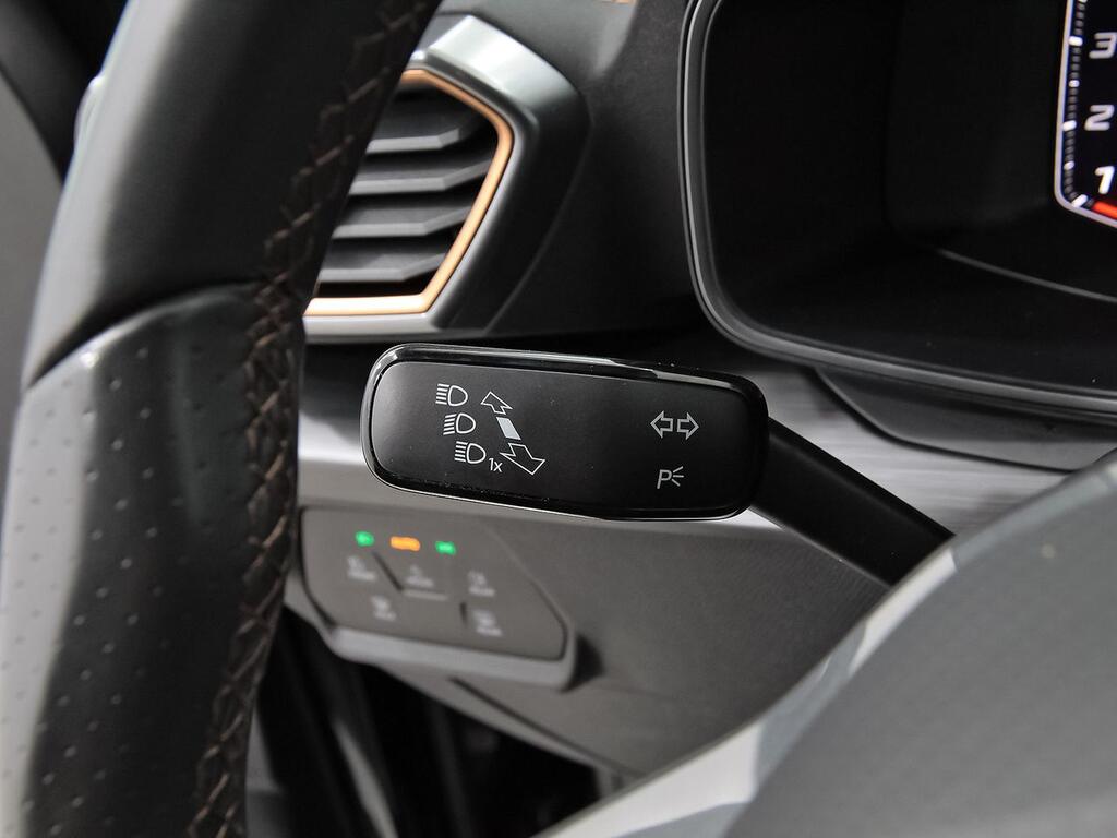 Cupra Formentor 2.0 TDI 110kW (150 CV) 13