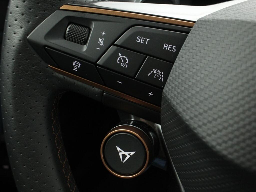 Cupra Formentor 2.0 TSI 228kW) 4Drive DSG L Ed Petrol M 11
