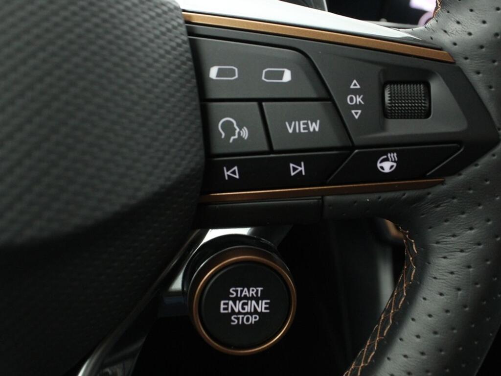 Cupra Formentor 2.0 TSI 228kW) 4Drive DSG L Ed Petrol M 14